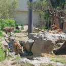 전주동물원 이미지