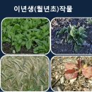 씨드림 이미지