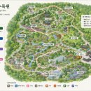 야생화가요광장
