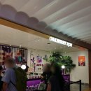 꿀베리하우스 이미지