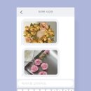 앙금플라워정규반 버터크림플라워정규반 : 플라워케이크전문점 묘묘네 수강생 후기 (+정규반 여석안내)