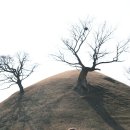 신라고분정보센터 화장실 이미지