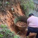 광서성 | 광서성 고갯마루 진흙에서 청동북 출토