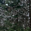 달뜨는목장 이미지