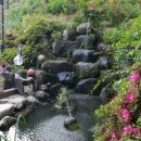 메밀촌 봉평 막국수 이미지