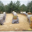 모래벌농장 이미지