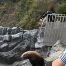 외궁슈퍼 이미지