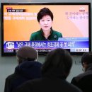 닭통령 Daum카페