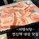 세명 | 부산 연산역 가성비 냉삼 맛집 발견 후기! <세명식당>