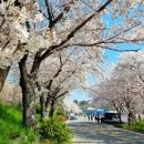 머슬팩토리24 사천본점 이미지