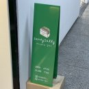 샌디샐리 이미지