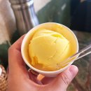 을지소프트 이미지