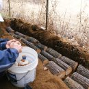 서원농장 이미지