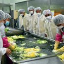 세인푸드농업회사법인 이미지