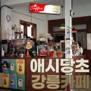 강릉 여행 코스 추천 감성 레트로 카페 애시당초 초당동 핫플