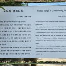 국우경로당 이미지