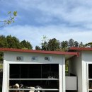 기호목장 | 제주도 아이와 체험여행! 아침미소목장에서 우유주기&amp;인생샷 남기고 왔어요🐄