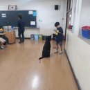 완산서초등학교 이미지