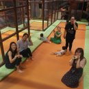 (주)조이포유 이미지