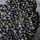 페퍼민트민박 이미지