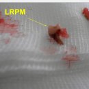 아쿠아 종합동물병원 이미지