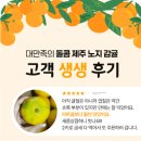쉬플리의 이기는 제안전략 | 귤상세페이지, 경쟁 농가를 이기는 사진과 디자인 비밀