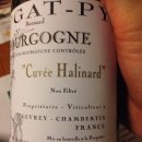 Domaine Bernard Dugat Py, Bourgogne Cuvee Halinard 2009 이미지