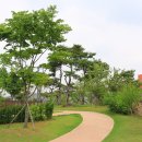 이한응 묘소 이미지