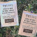 김구워구워 이미지