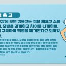 신장금옥 이미지