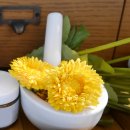 뉴플러스농장 이미지