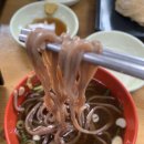 중앙모밀우동 | 부산 중앙동 맛집, 60년 전통의 메밀국수! '중앙모밀' 내돈내산 솔직 후기