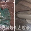해양어구개발 이미지