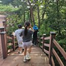 제암산자연휴양림 | 보성 제암산 자연휴양림 곰썰매, 짚라인 모험시설 이용후기