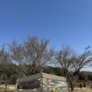 또와캠핑장 | 진경원 캠핑장 1번 자리 후기 | 뷰 미쳤다… 예약 꿀자리