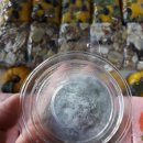 행복한떡집 이미지