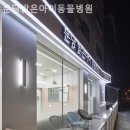 밝은동물병원 이미지