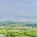 남산교앞 이미지