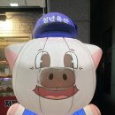 정직한청년축산