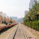 푸른수목원 이미지