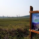 신화역사2 교차로 이미지
