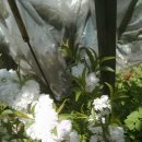 성림농장 이미지