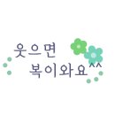 거북약초