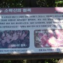 맹*재 - 안양시 동안구 | 맹*재
