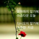 행복한날 이미지