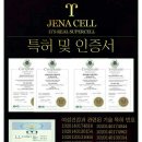 제나셀 이미지