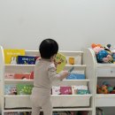 그레이트북스 그래그래 전집 너무나도 만족하는 내돈내산 후기