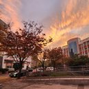 수성대학교 | 보육교사1급 승급교육, 꼭 받아야 하는 이유와 수성대학교 승급교육 후기