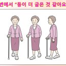 주식회사 친절한상희씨 | 압박골절 회복 후 척추후만증이 진행된 환자의 경험/TLSO 플라스틱 보조기와 비교한 스피노메드 착용 후기