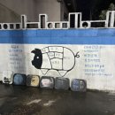 바당고지 흑돼지다이닝 제주금능협재점_협재해수욕장...촬영지, 흑돼지 이베리코 제주한치 세트 후기